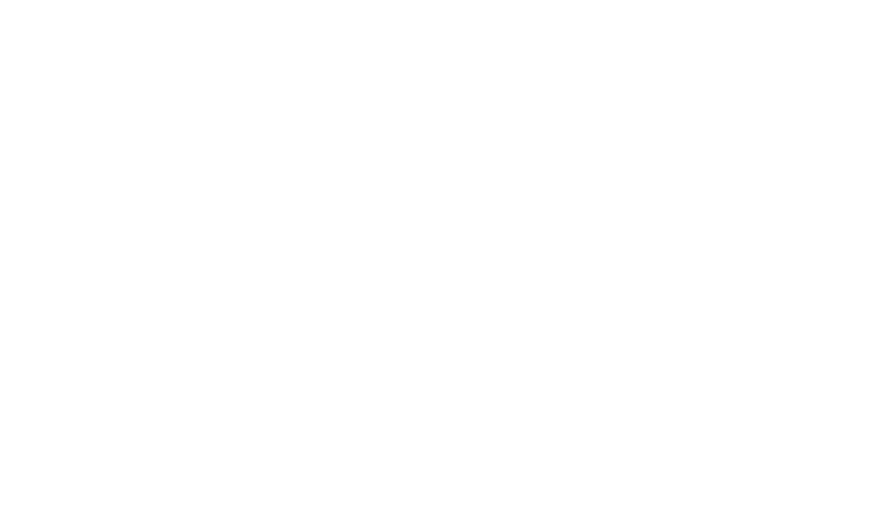 Logo Louis e Marchesini